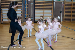 2024_01_31_Ballet_Rohrendorf-37