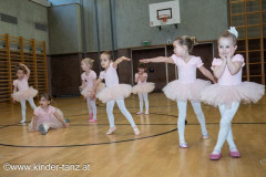 2024_01_31_Ballet_Rohrendorf-451