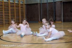 2024_01_31_Ballet_Rohrendorf-469
