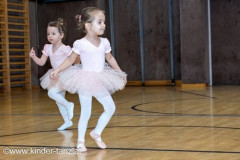 2024_01_31_Ballet_Rohrendorf-488